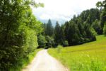 2014-07-05_Laengental-N-Hochweg (238). JPG